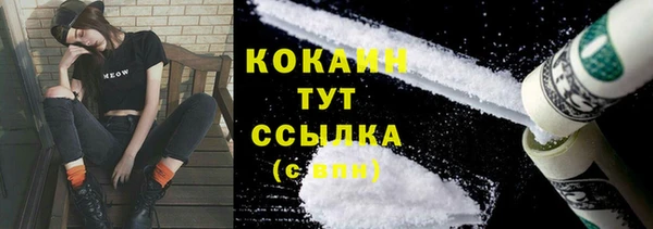 кокс Алексин