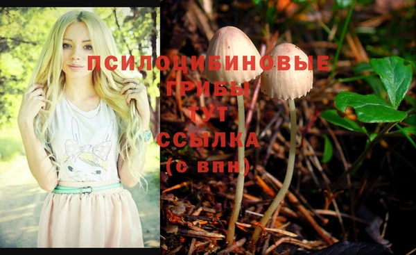 кокс Алексин