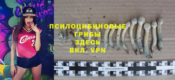 кокс Алексин