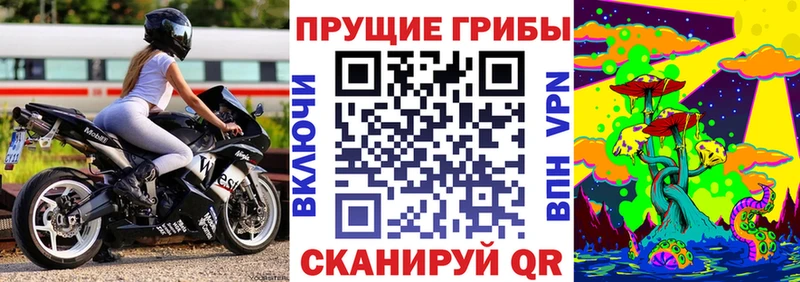 Галлюциногенные грибы прущие грибы  Ессентукская 